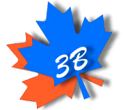 logo_3Bincx180_orange_blue