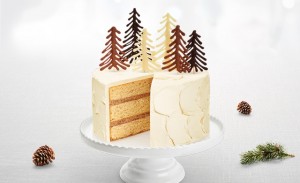 fpaq_photos_web_640x390_gateau_sapin